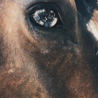 37A0D51A-DCDD-4E7E-ADD2-1E63201BF219