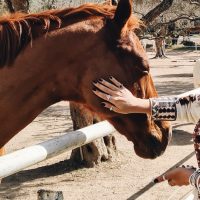 56D9C823-CF3F-4200-B79C-BE505283C08F