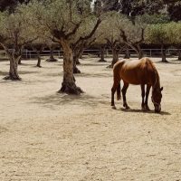 Processed with VSCO with kp2 preset