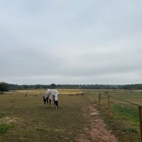 Processed with VSCO with ss1 preset